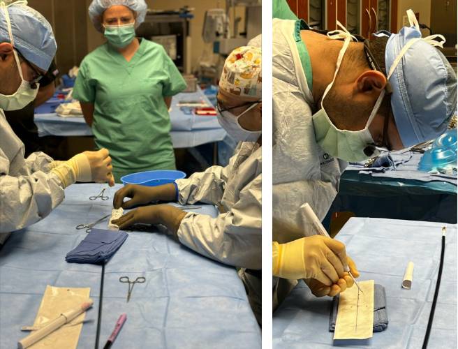Customized Fenestrated-Branched Endovascular Repairs 2