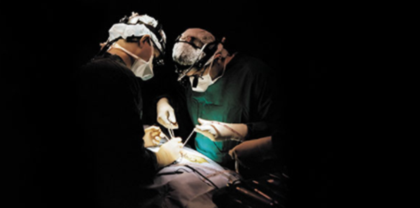Two physicians performing general surgery.
