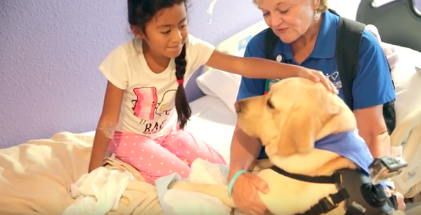Patient petting an Orlando Health pet therapy dog.