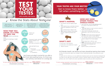 Test Your Testes Guide with monthly self-checks, image preview