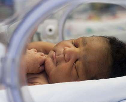 Baby in an Incubator