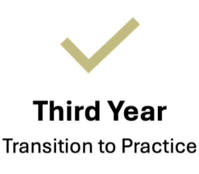 Year Three updated