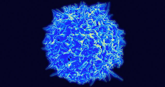 CENTER FOR INFLAMMATORY BOWEL DISEASE