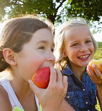 Educación nutricional