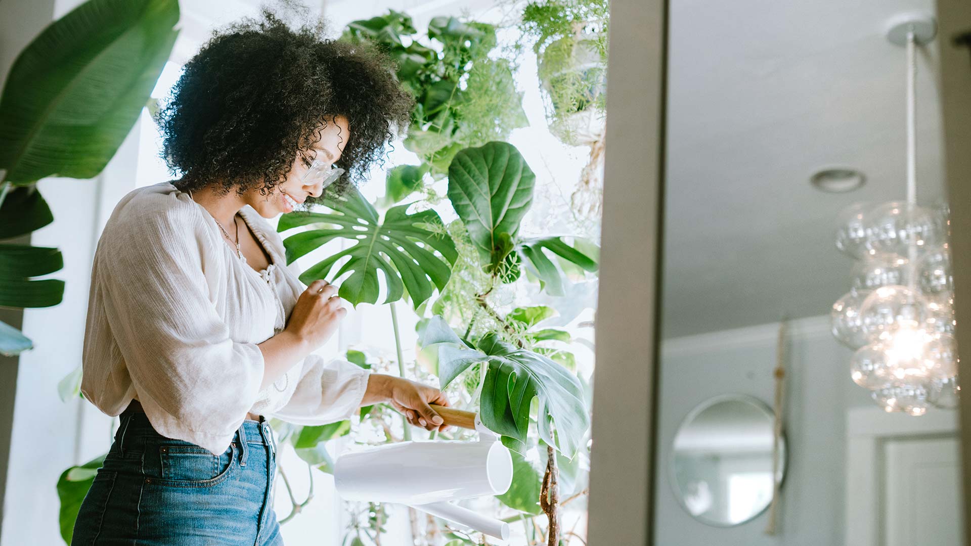 Houseplants Are Good for Your Physical and Mental Health 