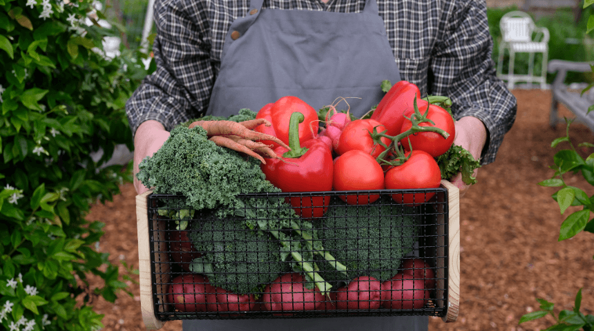 Growing Your Own Superfoods Is Easier Than You Think