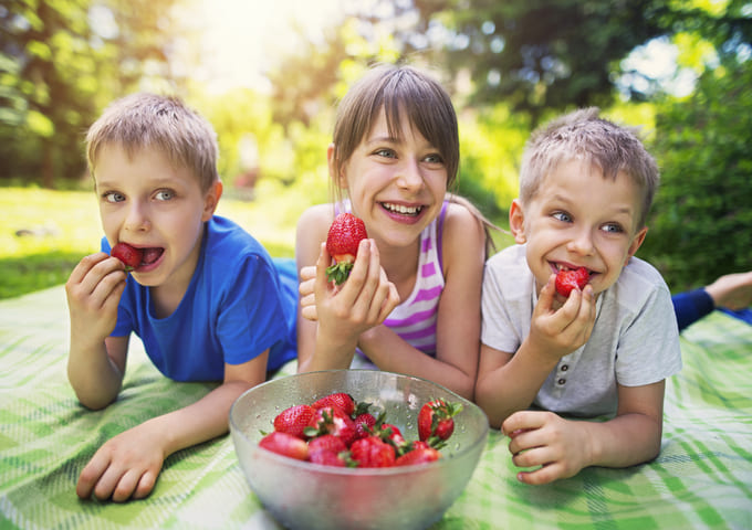 Anti-Inflammation Diet: Good for the Whole Family