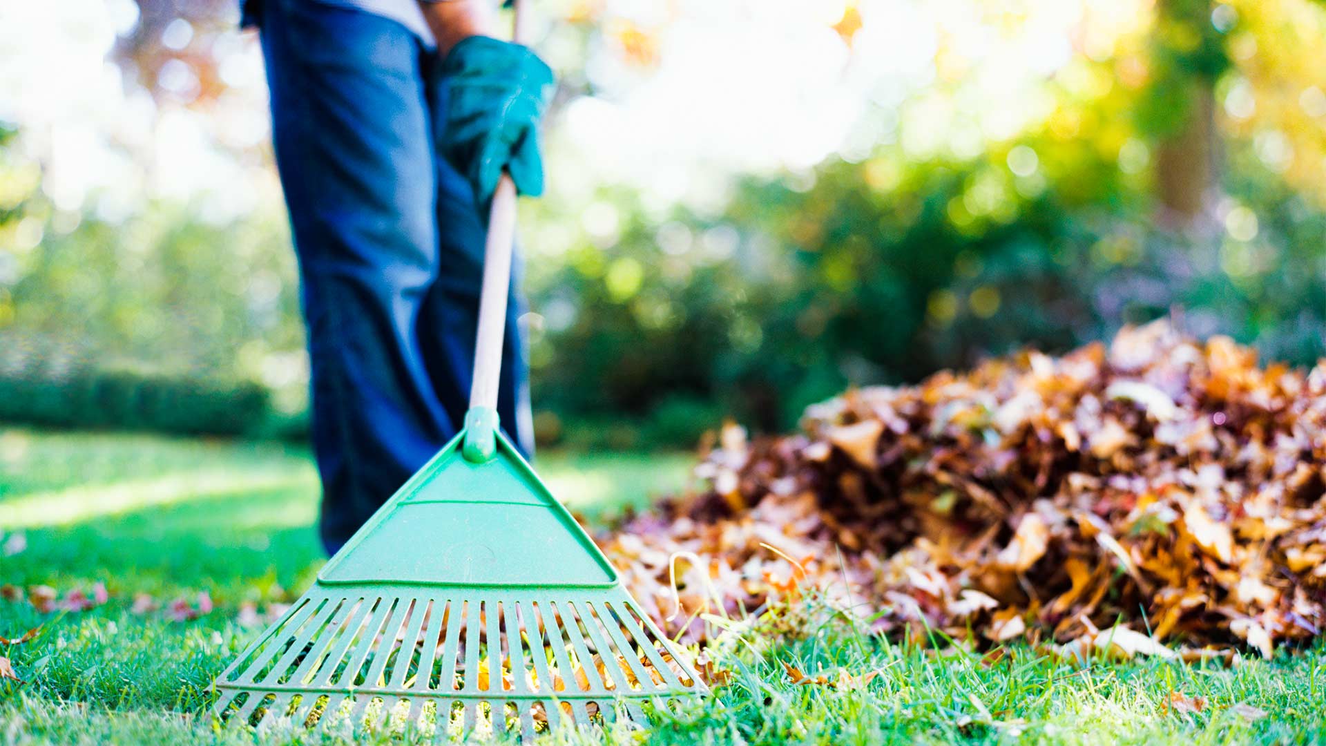 Beware: Simple Household Chores Can Cause Injuries