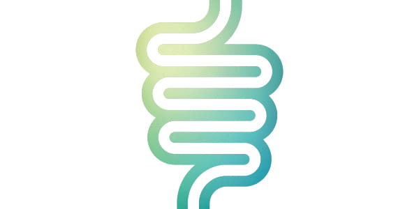 Follow Your Gut for Health