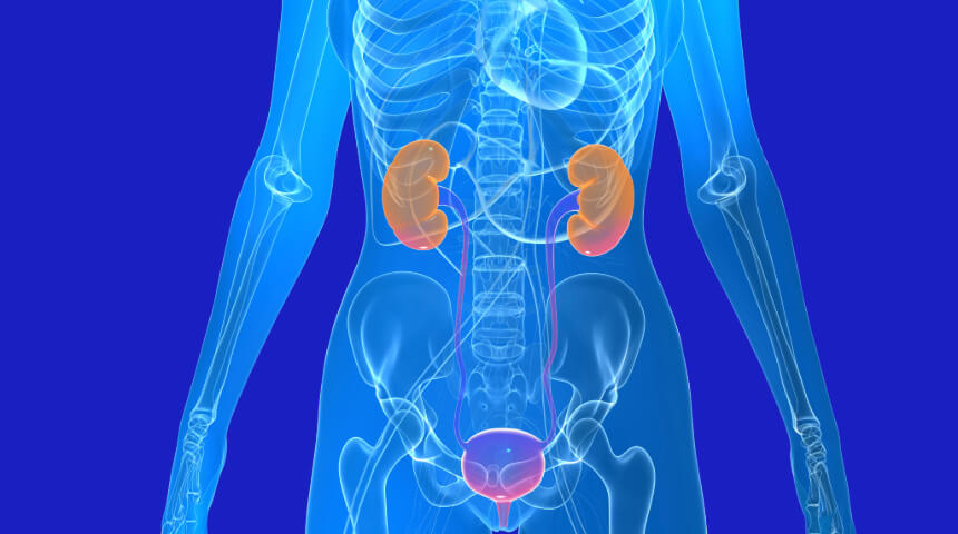 Urogynecology Team Performs Advanced Solutions In-Office for Bladder Dysfunction