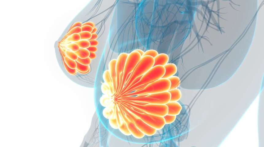Advanced Techniques Used in Tandem Microsurgery Return Sensation to Nipples Post-Mastectomy