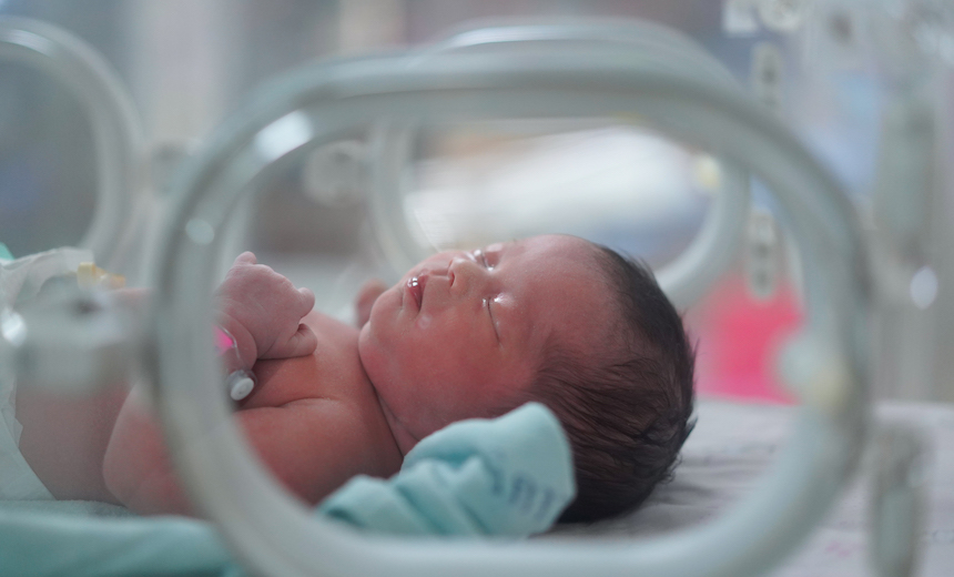 Florida’s First Neonatal Hemodynamics Program Launches for Vulnerable Newborns