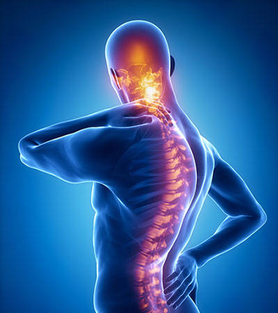 Lower Back Pain  Central Health Physiotherapy