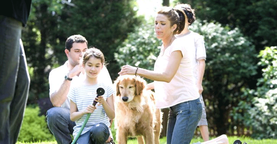 family washing dog in yard