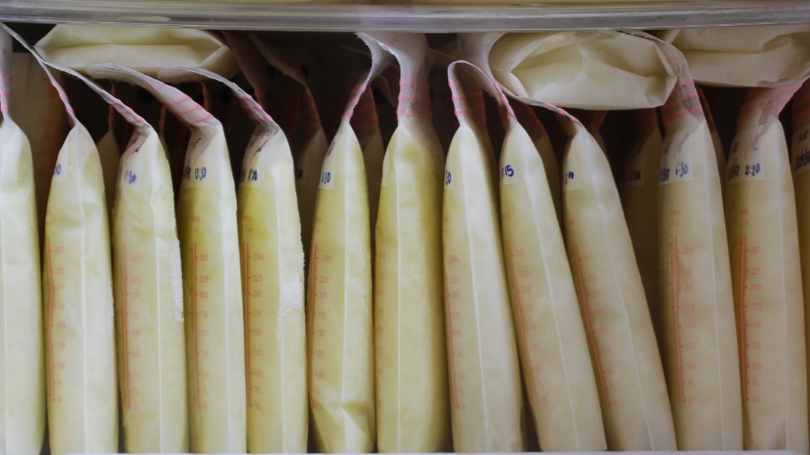 Bags of frozen breast milk in milk bank