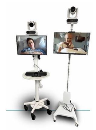 virtual sitters