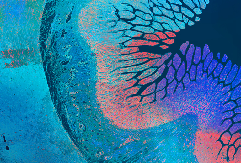 4083900 - ORGANIC DIGITAL - OHDHI FDDU 2026 Event Page - Artwork Mobile 768x520 Final