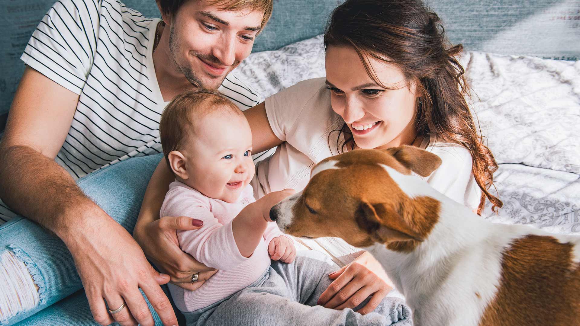 Get a Pet To Boost Your Child’s Immune System 