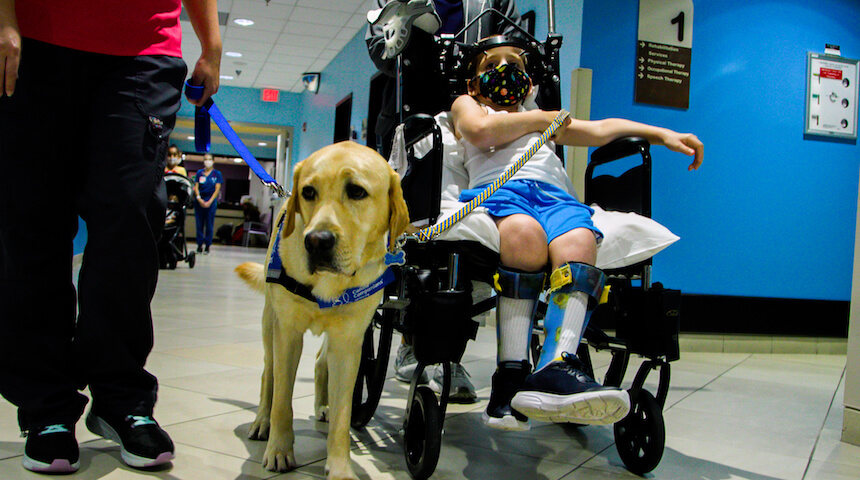 Four-Legged Visitors Encourage Orlando Health Patients 