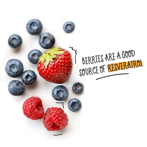 Berries are a good source of resveratrol