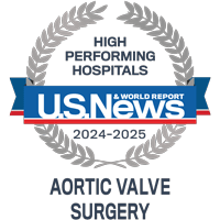 Aortic Valve 24/25