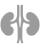 ohci_kidney_icon.png